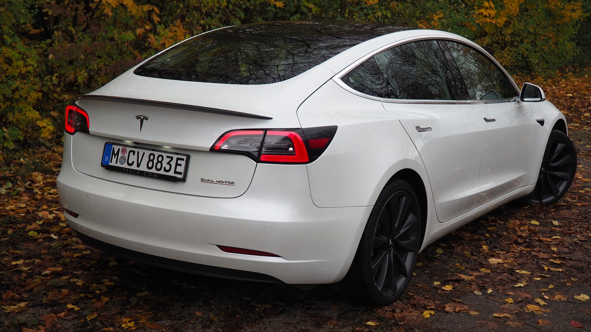 Tesla Rear Bumper